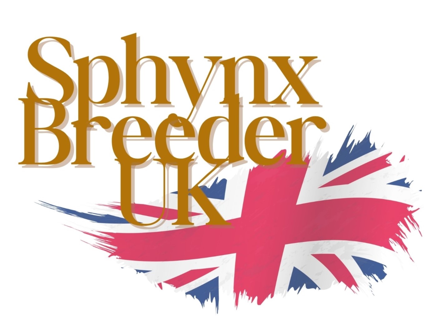 Sphynx Breeder UK